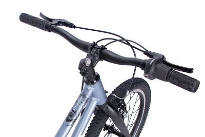 Превью Детский велосипед Велосипед ASPECT Champion Серый (2025)